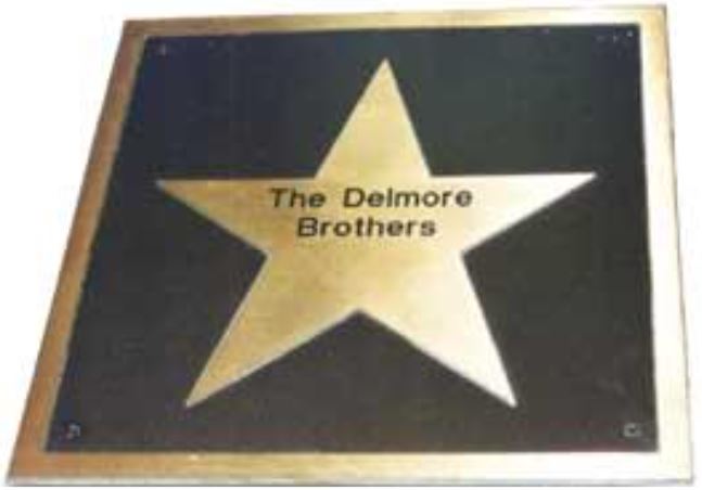 Star plaque honoring The Delmore Brothers, commemorating their contributions to music. Located on a sidewalk to celebrate their legacy.